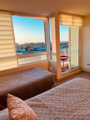 Urban Loft Vicuña